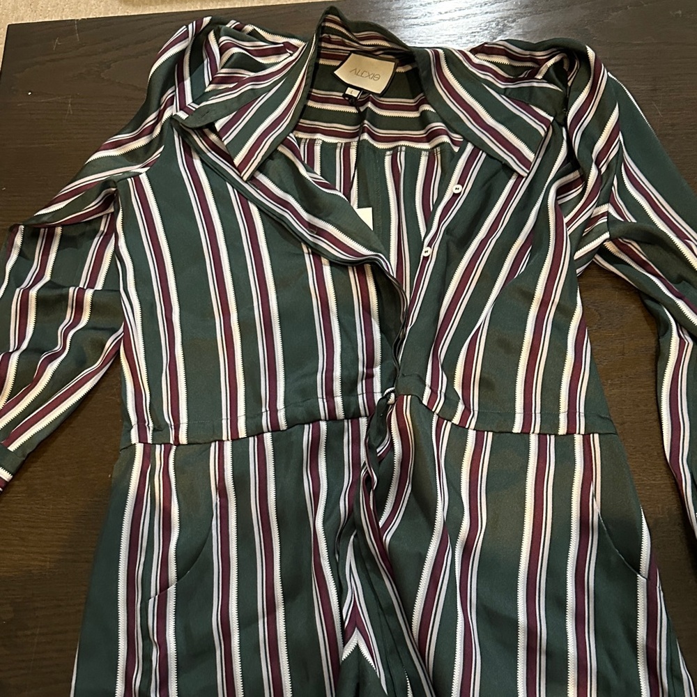 Alexis Green and Burgundy Striped Dress